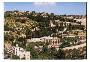 Israel - Jerusalem. Garden of Gethsemane (3.75x5.5)