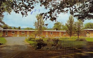 Astafans Motel Utica, New York NY Postcards