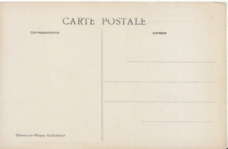 France Postcard - Tregastel - Le Chameau - Ref TZ3043