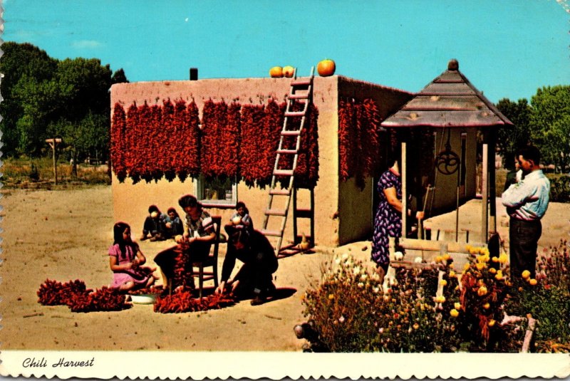 New Mexico Stringing Chili In The Southwest 1974