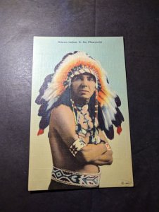 Mint USA Native American Portrait Postcard Ottawa Indian A Roi Clearwater