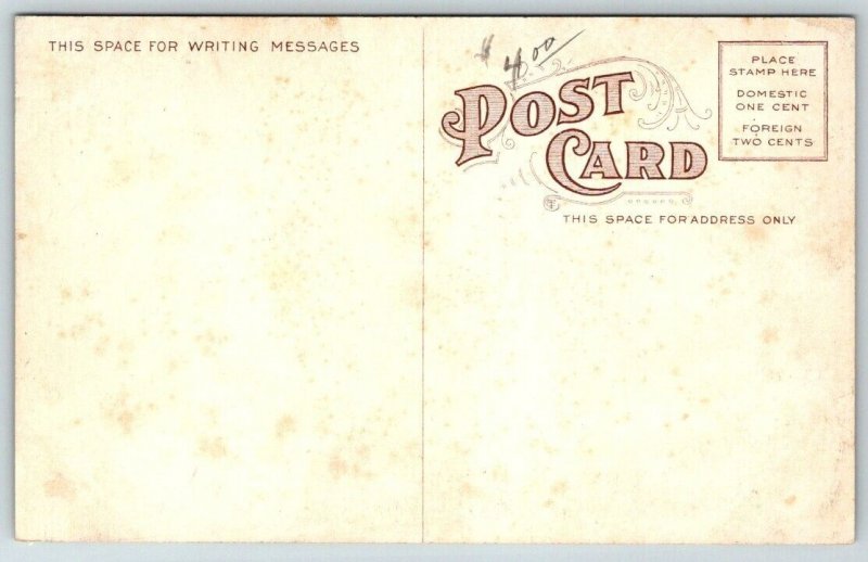 Hogan Street  Post Office Union Times Building  Jacksonville Florida    Postcard