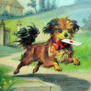 1870's-80's Lovely Small Dog Delivering Letter Victorian Card P68