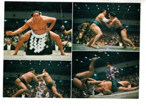 Sumo Wrestlers, Lucha Japonesa Ilamada