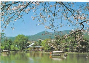 Japan Postcard - Sagano Kyoto    AB2004