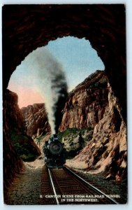 SPOKANE AREA?, WA Washington ~ RAILROAD TRAIN Entering TUNNEL  c1910s  Postcard