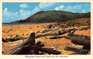 Manzanita Beach, Neah-Kan-Nie Tillamook County, Oregon OR