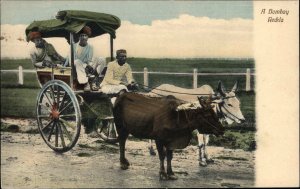 Bombay India Indigenous Men Driving Ox Cart c1910 Vintage Postcard