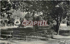 Modern Postcard Hyeres-les-Palmiers - The Public Garden