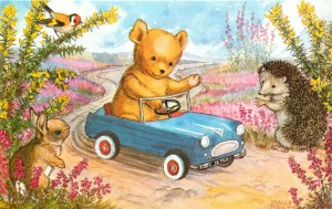 Medici Postcard Pk 319 Molly Brett, Teddy Bear in His Car, Woodland Animals wave