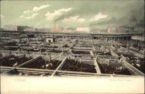 Chicago IL Union Stock Yards c1905 Postcard - Unused