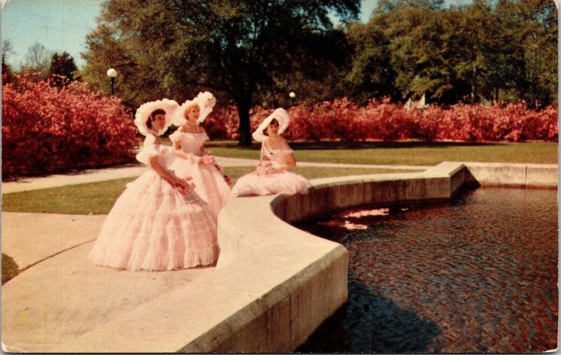 Historic Lyons Park Scenic Azalea Trail Mobile Alabama Chrome Postcard 