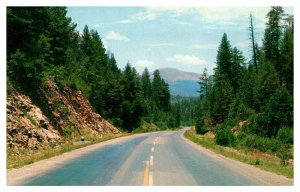 Postcard HIGHWAY SCENE Between Alanogordo & Ruidoso New Mexico NM AS4538