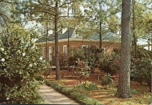 Flowers - Camellia Society Headquarters - Fort Valley GA, Georgia - pm 1984