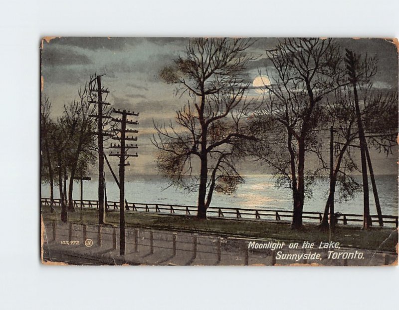 Postcard Moonlight on the Lake Sunnyside Toronto Canada