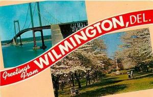 DE, Wilmington, Delaware Memorial Bridge, Josephine Gardens, Del Mar News K-5648