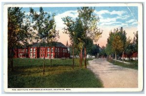 1916 Exterior View Institute Feeble Minded Beatrice Nebraska NE Vintage Postcard