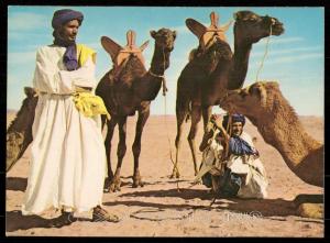 Scenes et Types du Maroc - Hommes bleus et leurs Mehara