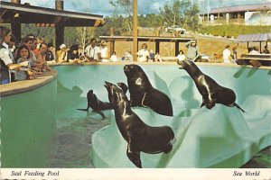 Seal Feeding Pool , Ohio  