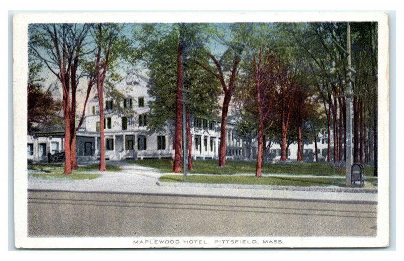 Postcard Maplewood Hotel, Pittsfield MA Mass I1