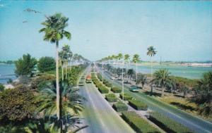 Florida Clearwater Memorial Causeway Looking West