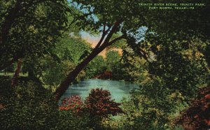 Vintage Postcard Trinity River Scene Clear Fork Trinity Park Fort Worth Texas TX