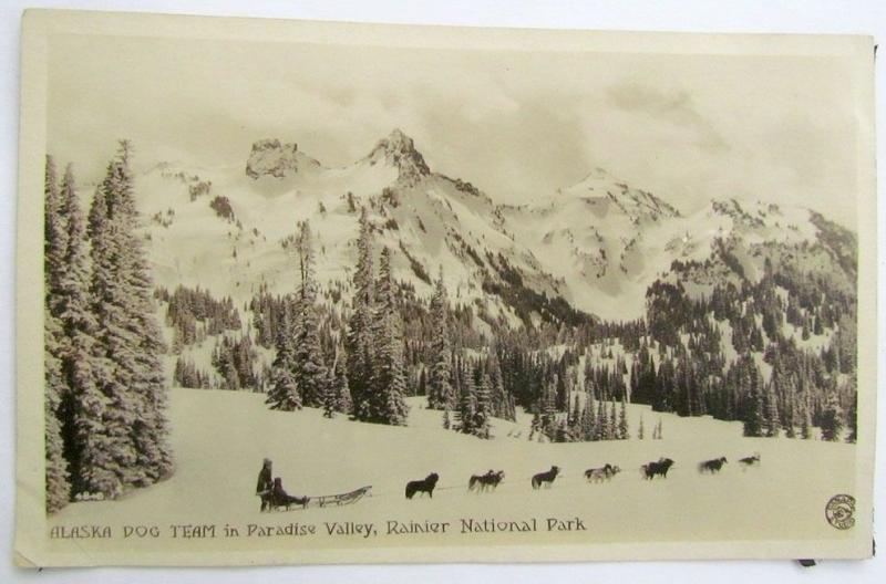 RPPC ANTIQUE REAL PHOTO POSTCARD ALASKA DOG TEAM IN PARADISE VALLEY RAINIER PARK