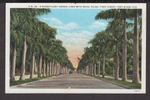 Florida Fort Myers - A Magnificent Avenue with Royal Palms, First Street ~ WB