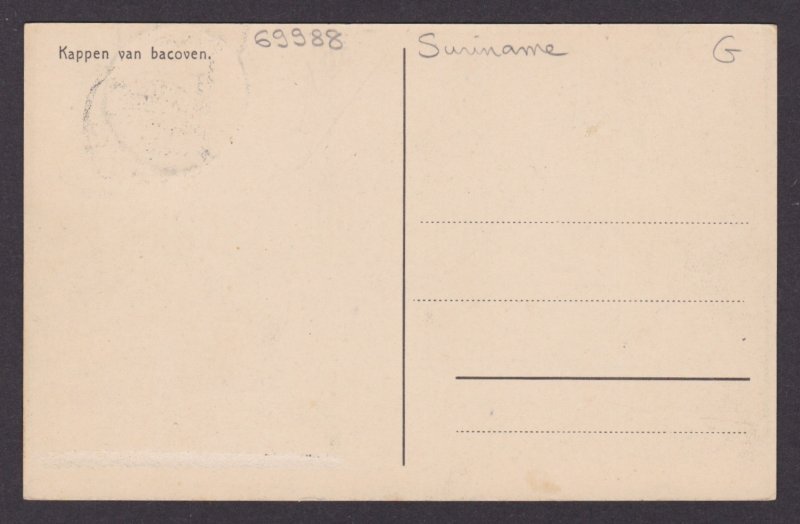 Postcard, DUTCH INDIES, Cutting bananas