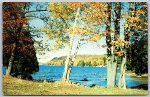 Postcard Lake of Bays Ontario c1957 Scenic Autumn View Muskoka