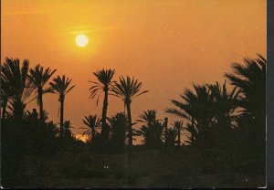 Tunisia Postcard - Iles Kerkennah - Coucher De Soleil, Sunset  RR1097