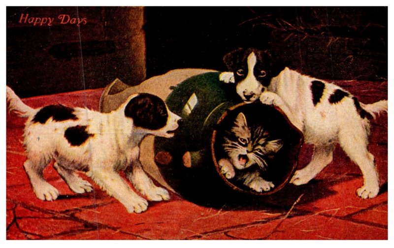 Dog ,  puppies rolling kitten in barrel