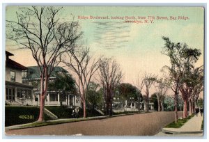 1918 Ridge Boulevard Looking North Bay Ridge Brooklyn New York NY Postcard 