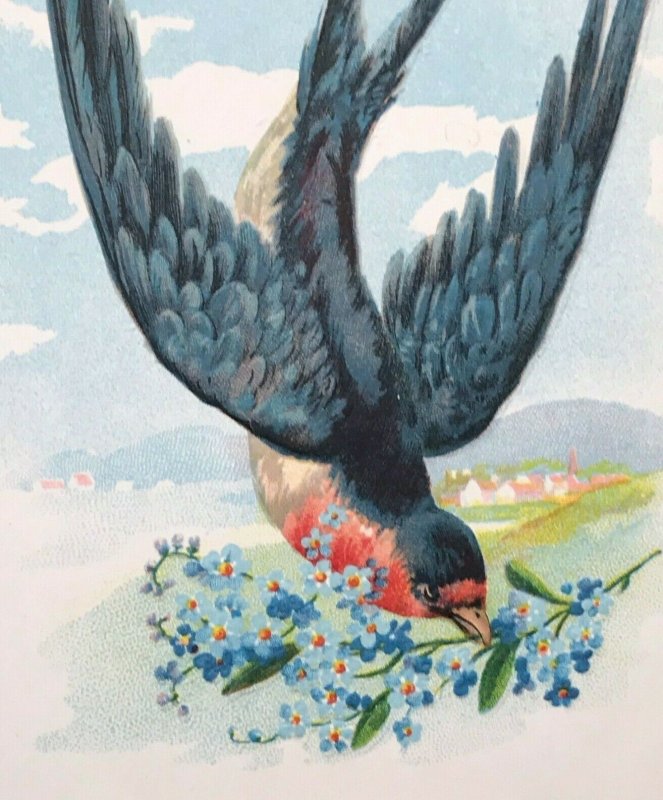 Circa 1907-15 Red Breasted Bird Flying Flower Branch Embossed Postcard Germany 