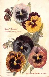 Giant Pansy Mixture, IN Kramer & Son Advertising 1911 