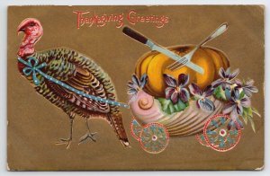 Thanksgiving Greetings Turkey Pulling Seashell Cart With Pumpkin Postcard V22