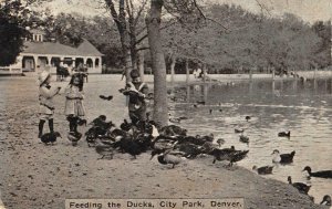 Feeding the Ducks, City Park, Denver, Colorado 1912 Vintage Postcard