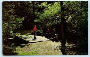 HACKLEBARNEY STATE PARK, Morris County NJ ~ KIDS on BRIDGE 1963 Postcard