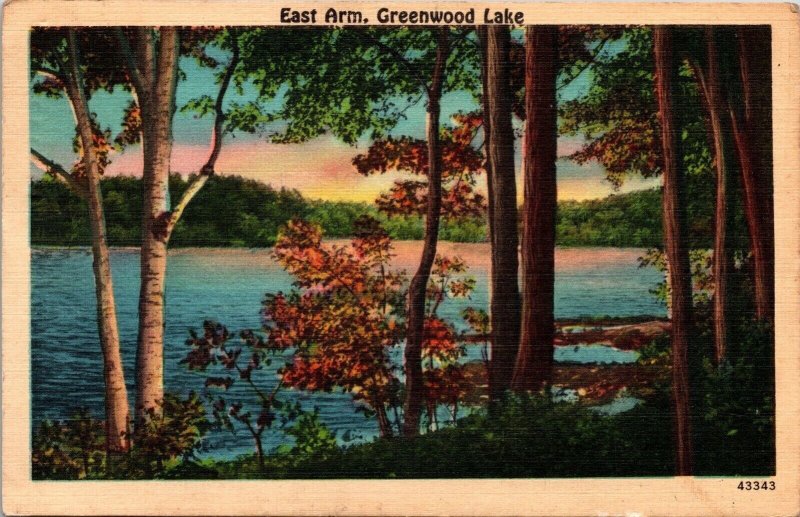 Greenwood Lake East Arm New York Scenic Landscape Linen Cancel WOB Postcard 