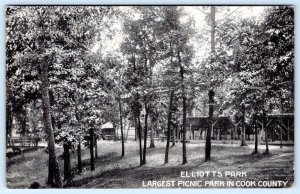 1920's ERA ELLIOTT'S PARK LARGEST PICNIC PARK IN COOK COUNTY ILLINOIS POSTCARD