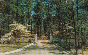 North Carolina Southern Pines The Mid South Resort 1958