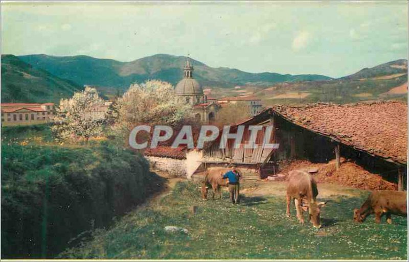Postcard Modern Santuario de Loyola Part Of Cows