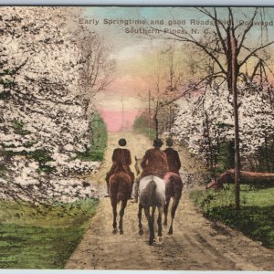 c1910s Southern Pines, N.C Springtime Dogwood Trees Nice Hand Colored Hayes A201