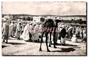 Old Postcard Morocco Scenes And Types