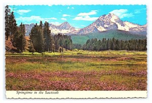 Postcard Continental View Springtime In The Sawtooth Valley Idaho