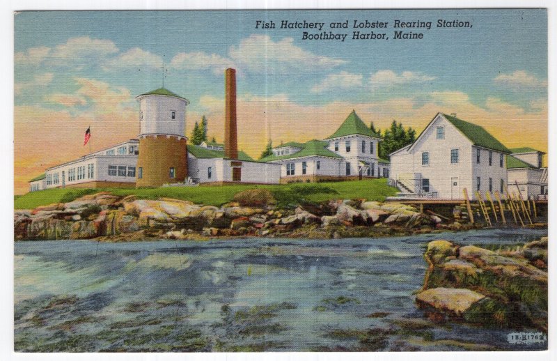 Boothbay Harbor, Maine, Fish Hatchery and Lobster Rearing Station