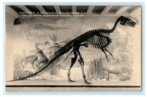 Trachodon Exhibit Colorado Museum Natural History Denver Vintage Postcard 