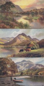 Through The Trossachs 3x Scottish Tucks Oilette Postcard s