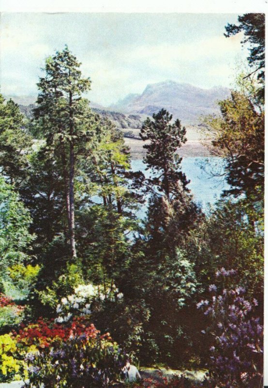 Scotland Postcard - Beinn Airigh Charr from Inverewe Garden, Poolewe  Ref 18574A 