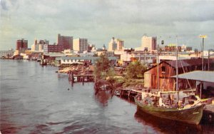 Skyline View of Tampa  Tampa FL